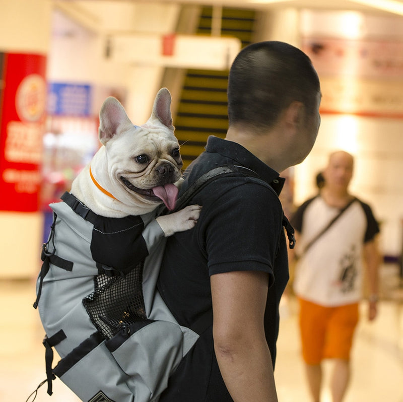 Bolsa de Transporte DogCat